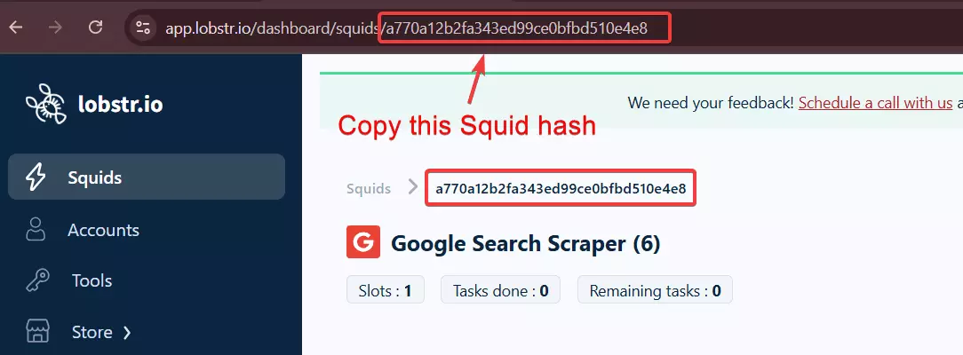 How to make a smart LinkedIn X-ray bot to automate the entire workflow? - 1. Get Squid hash image28
